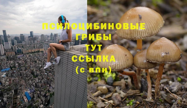 mdpv Абаза