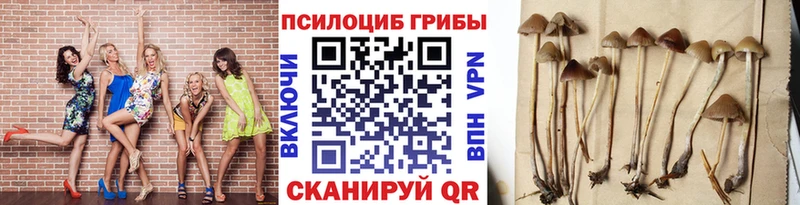 Псилоцибиновые грибы MAGIC MUSHROOMS  Мосальск 
