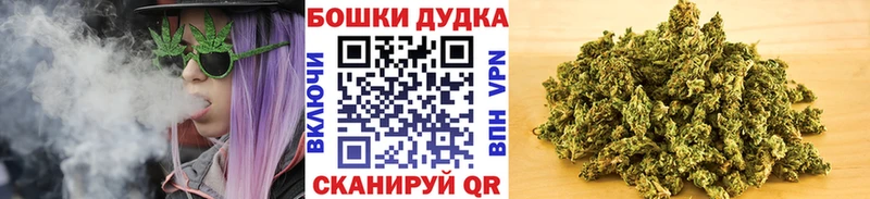 где купить наркотик  Мосальск  ссылка на мегу зеркало  Бошки Шишки THC 21% 